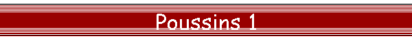Poussins 1